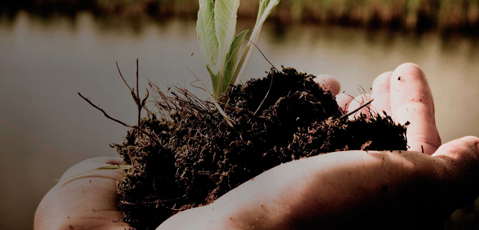 Máster En Ingeniería Y Gestión Ambiental - Master - UPV/EHU