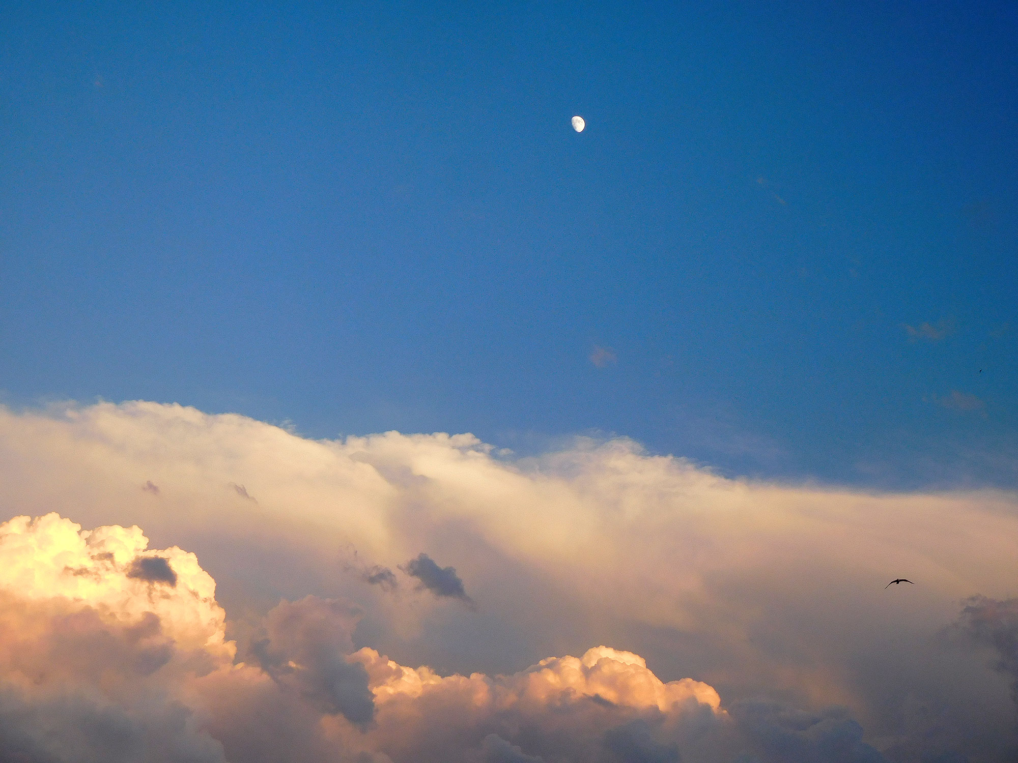 Un cielo azul al anochecer. Un mar de nubes anaranjadas cubre toda la parte baja. En lo alto, sobre un fondo completamente claro, una pequeña luna casi llena.