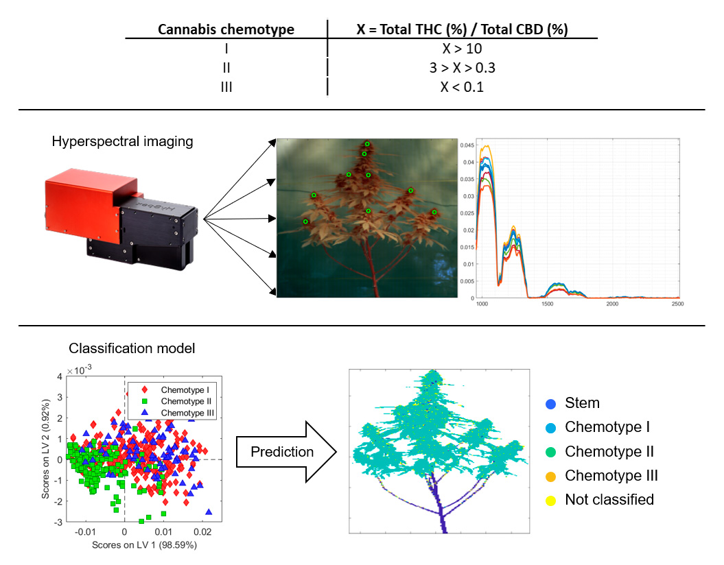 Advanced analytical technologies for controlling medical cannabis