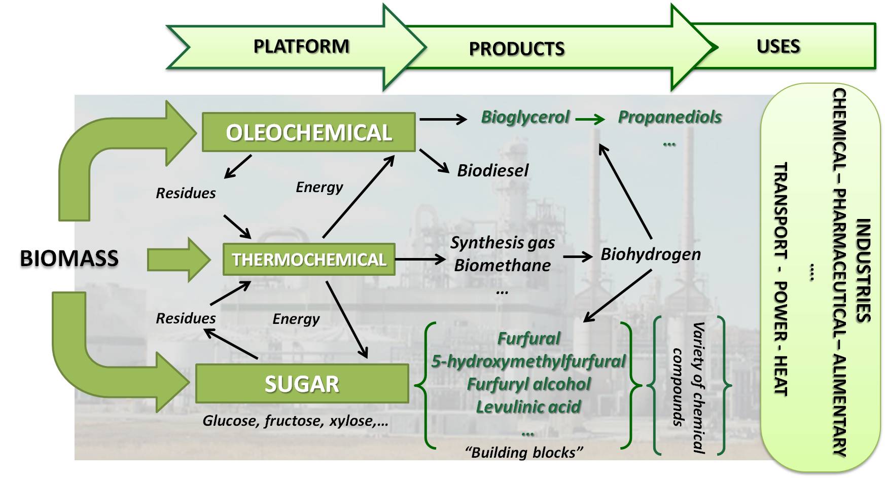 Integrated Processes In Biorefineries - Supren Research Group - UPV/EHU