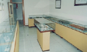 Sala de Endoscopia 1