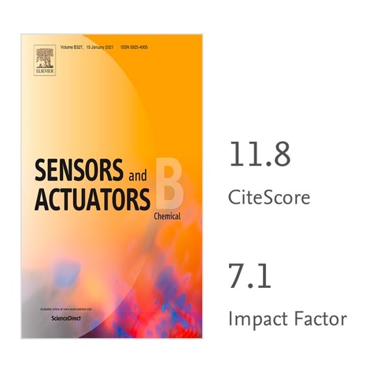 Congratulations Alba! New Paper Accepted In Sensors And Actuators B ...