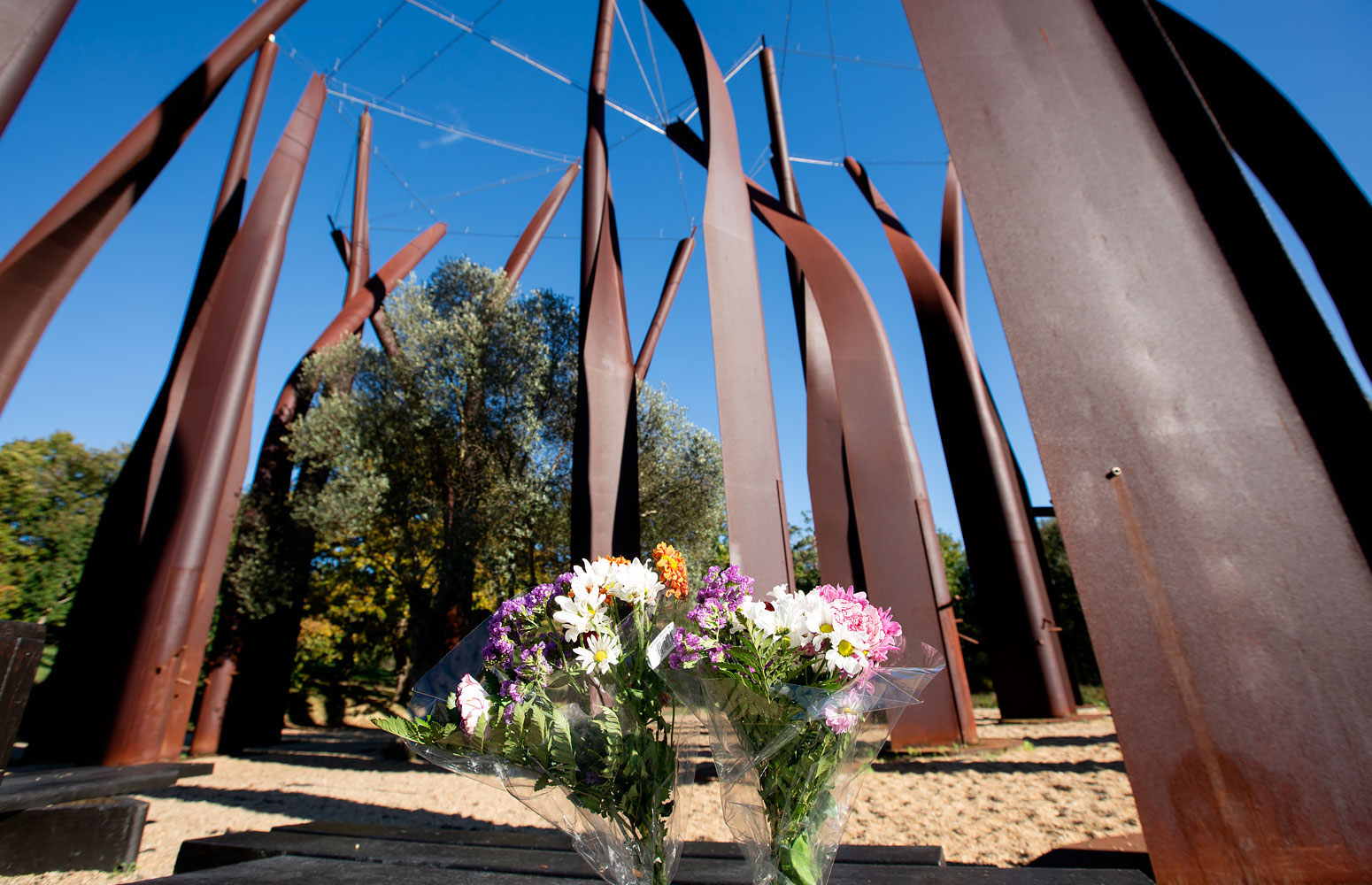 Arboretum, Área de Leioa-Erandio, Campus de Bizkaia.